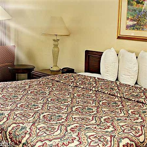 Rodeway Inn Orange Park Bagian luar foto